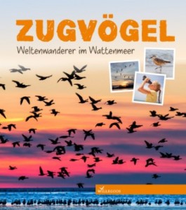 Zugvögel_Cover_AT-298x337