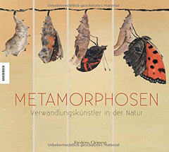metamorphosen-240